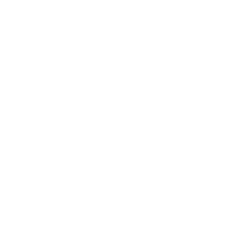 Dannylein93's emblem