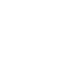 SaltyNutBag's emblem