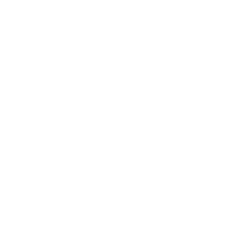 ZJ-2CZTRD-F2's emblem