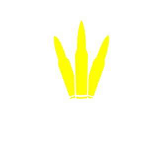 JINJIDEGAOZI's emblem