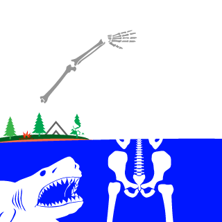 MRBOsEM's emblem