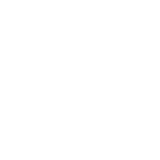 Gabrielzzs's emblem