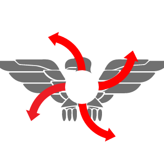 Sora0222's emblem