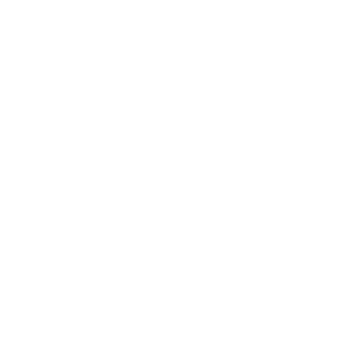 MartyTheChamp's emblem