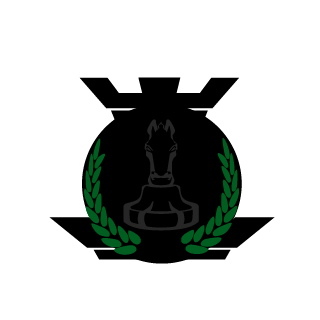 ANkelGaming's emblem