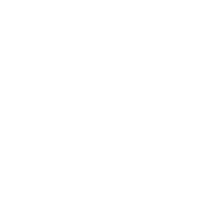 XIIIRCL's emblem