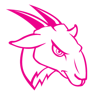 platinchat's emblem