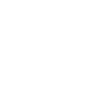 notFoxzn's emblem