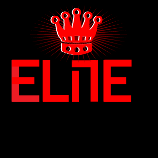 Elit3Brr's emblem