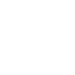 shidenvip's emblem