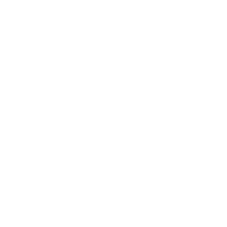 shigibigig's emblem