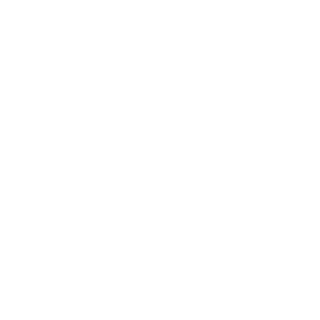 capp1anet's emblem