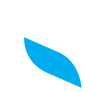 Shl0mpi's emblem