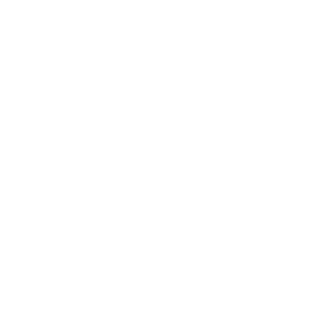 Danielg12912's emblem