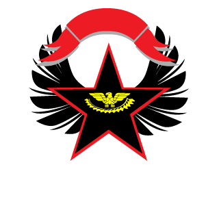 Hi Im Apo11o's emblem