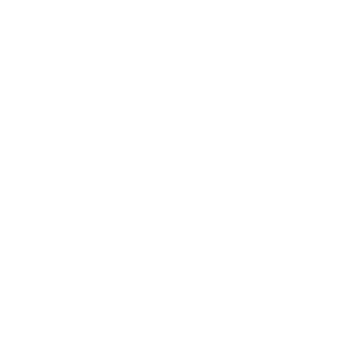 140NAVIDA's emblem
