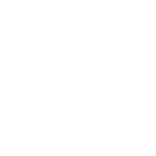 StormTrooper1911's emblem