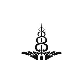 V8salvaje's emblem