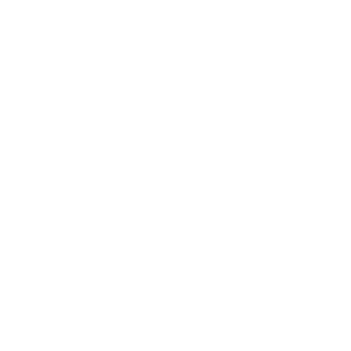 Plexsicity's emblem