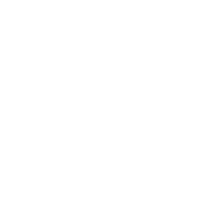 dashrendar2507's emblem