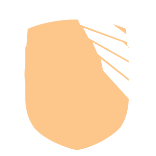 terrynova's emblem