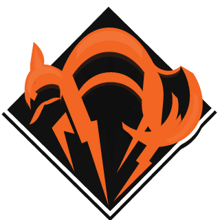 Task Force 416's emblem
