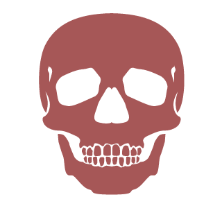 sasha16613's emblem