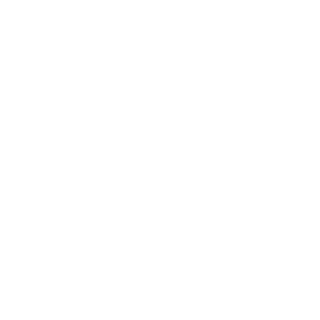 beebo_b17's emblem