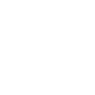Sk1c3's emblem