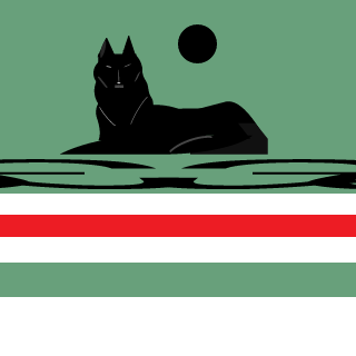 95ruslanbek95's emblem
