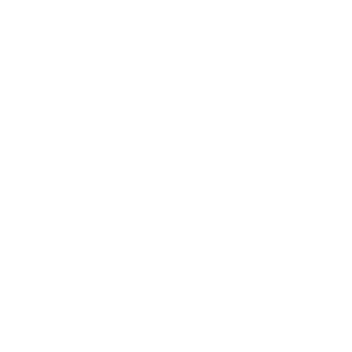 DMHUN124's emblem