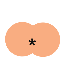 -NFA-Kongol's emblem