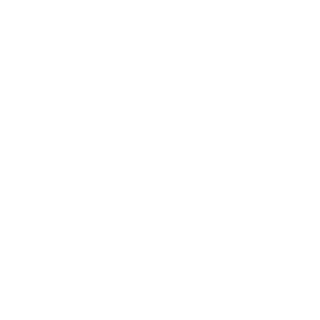 liho-ryazan21's emblem