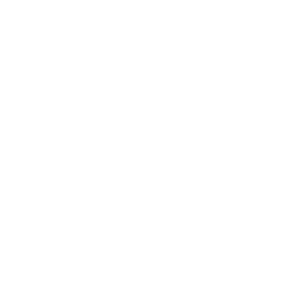 Anzani-HUN's emblem