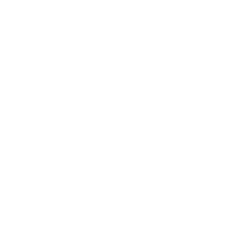 sp1kel's emblem