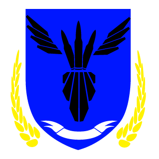 AssassinWasp's emblem