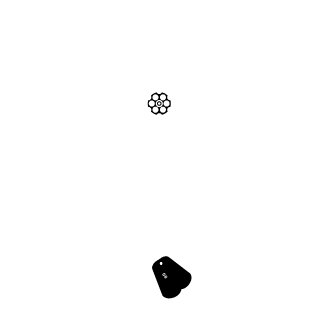 BaliMartins's emblem