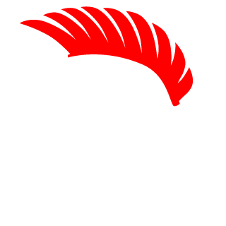 TavioRC's emblem