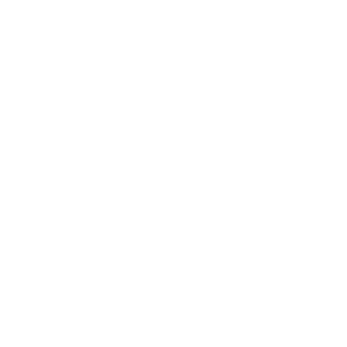 106cee311ce1e556's emblem