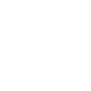 MSACG's emblem