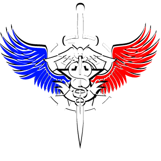 Dragon 501 RCC's emblem