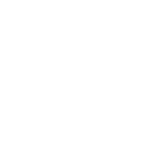 Thiagotav10's emblem