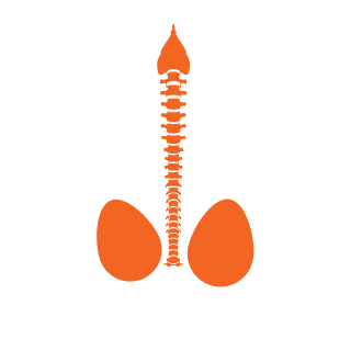 765289524's emblem