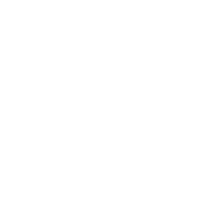 escaflowne54's emblem