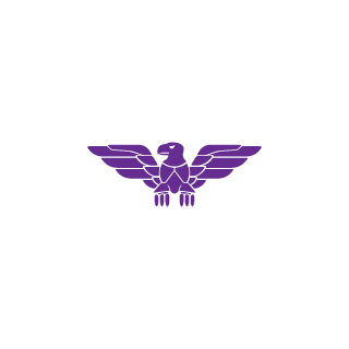 ThePunisherV16's emblem