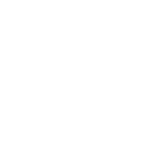 BlazePro's emblem