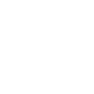 DuNoxx's emblem