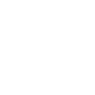 nerot0790's emblem