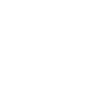 GySeNaToR's emblem
