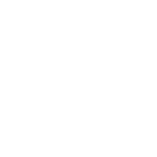 zhangsd00838's emblem